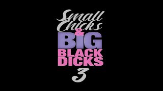 Small Chicks &amp; Big Black Dicks Vol. 3 - Scena1 - 1