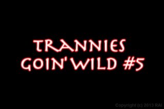 Trannys Gone Wild 5 - Scene1 - 1