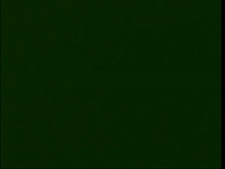 Nasty Asian Sex Tutor: Lesson Seven - Scena2 - 1