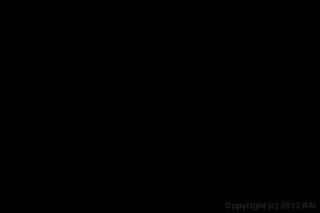 Dark Meat Lovers - Scene1 - 1