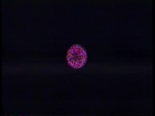 Porn O&#39; Plenty #11 - Scene4 - 1