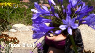 Stacked To the Max 2 - Scena10 - 1