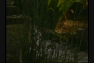 Exxxtasy Island - Scena1 - 1