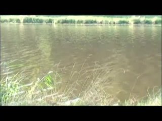Jurassic Porn II - The Lost Hole - Escena2 - 1