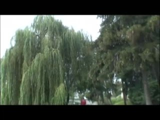 Jurassic Porn II - The Lost Hole - Escena2 - 6
