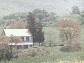 Pussycat Ranch - Scena4 - 4