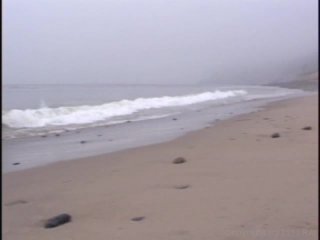 Fat Beach Patrol 3 - Cena1 - 1