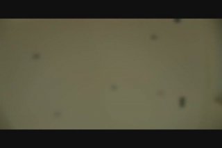 Jack In Me POV 2 - Szene2 - 1