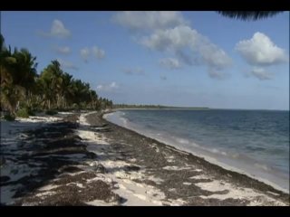 Private Tropical #40 - Boroka Does The Caribbean - Escena3 - 1