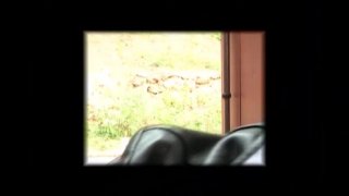 La Segretaria - Scena3 - 1