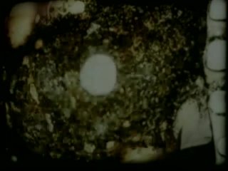 Electric Dreams - Scene5 - 1