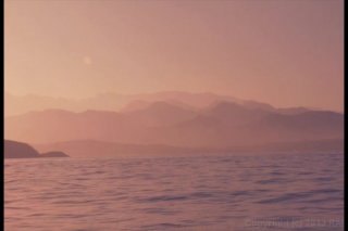 Lost On Paradise Island - Scene7 - 6