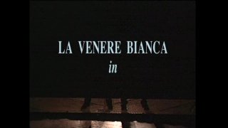 Donne Gatto - Scene1 - 1