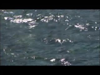 Sea Attraction - Scene4 - 1