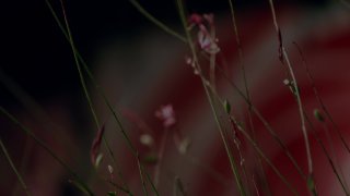 Three V4 - Scene1 - 1