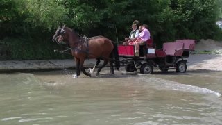 Der Stramme Max O&#39;zapft Is! - Scene1 - 1