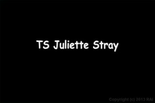 She-Male Strokers 38 - Scene1 - 1