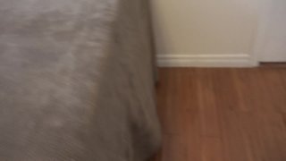 Hairy Loins Of Lust Vol. 2 - Scene3 - 2
