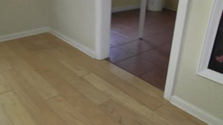 Assholes Always Welcome - Escena4 - 6