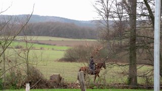 Ich will im Wald vogeln - Escena5 - 1