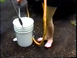 Traci 18 - Car Wash - Scene1 - 4