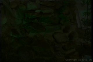 She&#39;s Got Nuts - Scene2 - 1