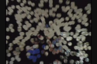 Latin Fever 19 - Escena1 - 1