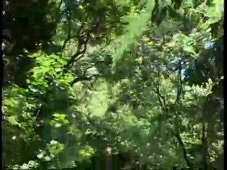 Anal Sluts and Sweethearts 10 - Cena4 - 6