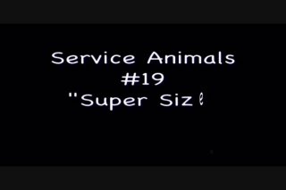 Joey Silvera&#39;s Service Animals 19 - Cena1 - 1