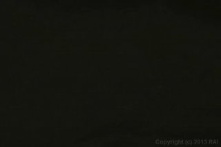 Ass Eating Lesbians - Escena2 - 1