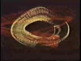 Peepshow Loops 423: 1970&#39;s (All Color) - Scene1 - 1