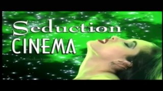 Retro-Sex Trailer Vault Vol. 1 - Scena1 - 1