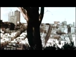 Three Shades Of Flesh (Remastered Grindhouse Edition) - Escena1 - 1