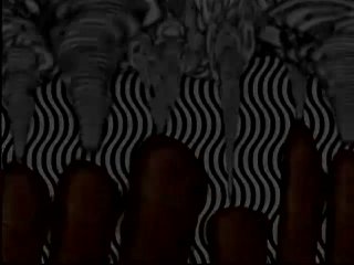 Little Asian Cocksuckers #12 - Scena1 - 1
