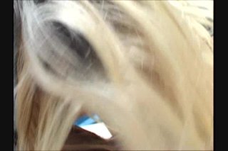 Blowjob Adventures of Dr. Fellatio #6, The - Scene3 - 4