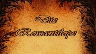 Das neue Kamasutra 1 - Szene13 - 1