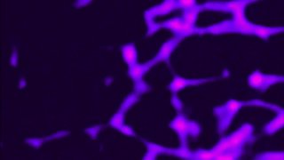 Cybersex Fantasy Sex Chambers - Cena5 - 1