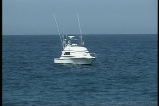 Barely Legal on Vacation - Szene5 - 1