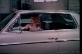 Swedish Erotica Vol. 2 - Scene13 - 1