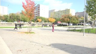 Dude Shoots Beauty&#39;s Ass - Szene2 - 1
