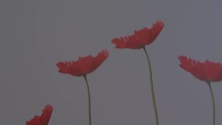 Deep Dark Secrets - Scène3 - 1