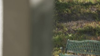 Teens Loving Older Men - Scène1 - 2