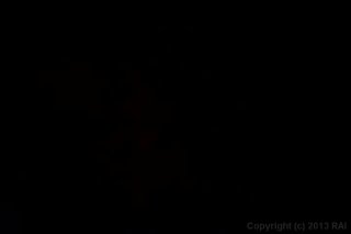 Transsexual Hard On - Escena1 - 1