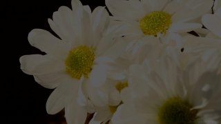 Pure Desire Vol. 4 - Scena3 - 1