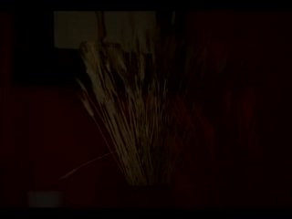 She-Male Supermodel: Thays Schiavinato - Scena4 - 1