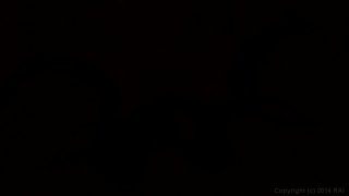 Swingers Orgies 9 - Scene3 - 6