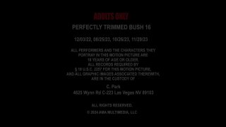 Perfectly Trimmed Bush 16 - Cena4 - 6