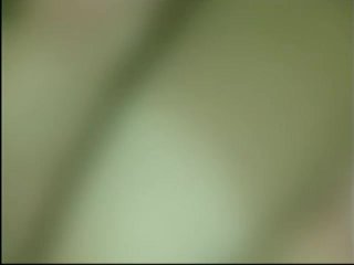 Filmes Amadores 5 - Cena7 - 6