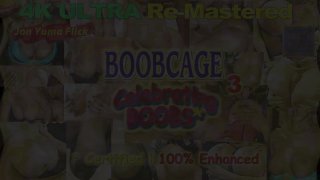 Boobcage 3 - Szene3 - 6