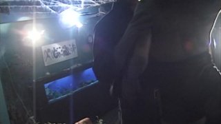 Extreme Transen Special - Escena5 - 2